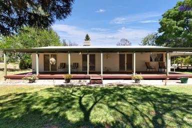 House For Sale - NSW - Wentworth - 2648 - Modern Living Meets Outdoor Appeal  (Image 2)