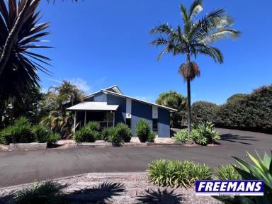 House For Sale - QLD - Kingaroy - 4610 - Stunning family home with Bunya Mountain views  (Image 2)