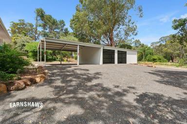 House For Lease - WA - Sawyers Valley - 6074 - Cosy Living, Calm Hills Lifestyle  (Image 2)