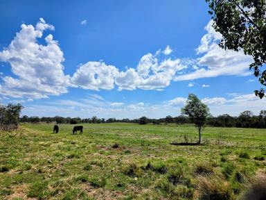 Residential Block For Sale - QLD - Geham - 4352 - "AKUNA PARK" >372.8 acres with magnificent views over Cooby Dam.  (Image 2)