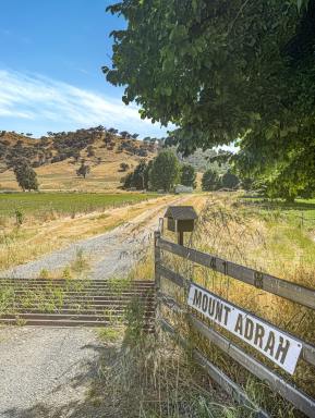 House For Sale - NSW - Adelong - 2729 - "Mount Adrah"  (Image 2)