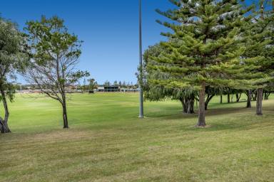 House For Sale - WA - Iluka - 6028 - OPPORTUNITY KNOCKS!  (Image 2)