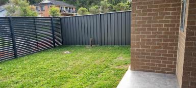 Townhouse Leased - NSW - Watanobbi - 2259 - Modern 3 bedroom 3 bathroom townhouse in a popular estate for rent  (Image 2)