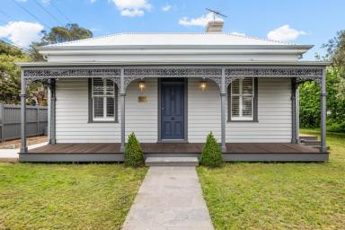 Medical/Consulting For Lease - VIC - Geelong - 3220 - Medical Consulting Rooms Available in Central Geelong  (Image 2)