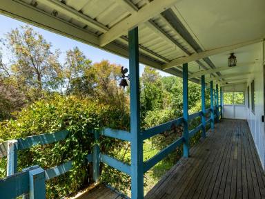 House For Sale - NSW - Candelo - 2550 - INVITING COUNTRY COTTAGE IN THE HEART OF CANDELO  (Image 2)