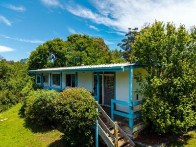 House For Sale - NSW - Candelo - 2550 - INVITING COUNTRY COTTAGE IN THE HEART OF CANDELO  (Image 2)