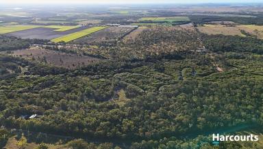 Lifestyle For Sale - QLD - Calavos - 4670 - LARGE LIFESTYLE BLOCK MINUTES FROM BUNDABERG (Image 2)