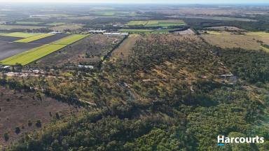 Lifestyle For Sale - QLD - Calavos - 4670 - LARGE LIFESTYLE BLOCK MINUTES FROM BUNDABERG (Image 2)