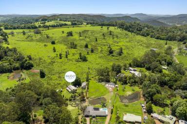Residential Block For Sale - QLD - Witta - 4552 - Witta - Endless Potential Awaits!  (Image 2)