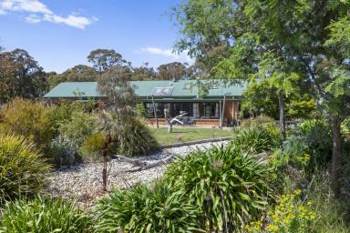 Lifestyle For Sale - VIC - Terip Terip - 3719 - A Private Sanctuary, Snowcap Views  (Image 2)