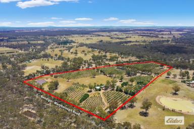 Acreage/Semi-rural For Sale - VIC - Lockwood - 3551 - 43 ACRE HOBBY FARM CLOSE TO TOWN (Image 2)