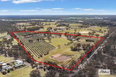 Acreage/Semi-rural For Sale - VIC - Lockwood - 3551 - 43 ACRE HOBBY FARM CLOSE TO TOWN (Image 2)