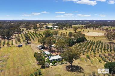 Acreage/Semi-rural For Sale - VIC - Lockwood - 3551 - 43 ACRE HOBBY FARM CLOSE TO TOWN  (Image 2)