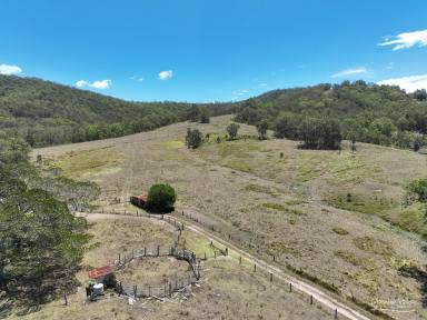 Residential Block For Sale - NSW - Killawarra - 2429 - 40Ha (Approx. 100 Acres) Lifestyle Opportunity  (Image 2)