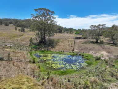 Residential Block For Sale - NSW - Killawarra - 2429 - 40Ha (Approx. 100 Acres) Lifestyle Opportunity  (Image 2)