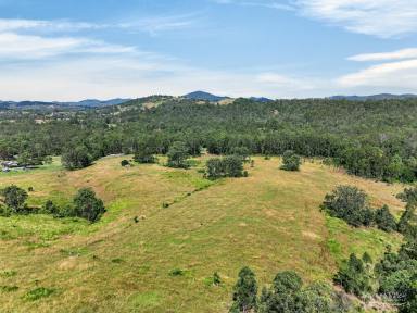 Residential Block For Sale - NSW - Killawarra - 2429 - 40Ha (Approx. 100 Acres) Lifestyle Opportunity  (Image 2)