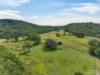 Residential Block For Sale - NSW - Killawarra - 2429 - 40Ha (Approx. 100 Acres) Lifestyle Opportunity  (Image 2)