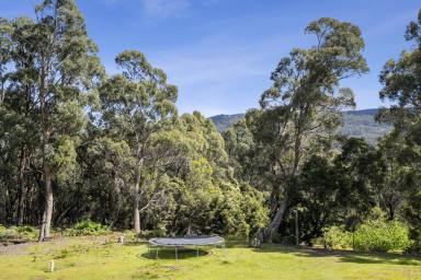 House For Sale - TAS - Port Arthur - 7182 - Discover the Space and the Opportunities of this Renovators Delight  (Image 2)