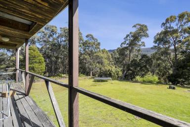 House For Sale - TAS - Port Arthur - 7182 - Discover the Space and the Opportunities of this Renovators Delight  (Image 2)