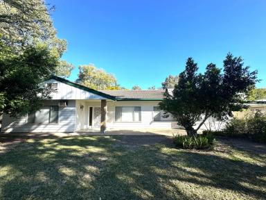 House For Sale - NSW - Moree - 2400 - FAMILY LIVING IN LEAFY GREENBAH (Image 2)