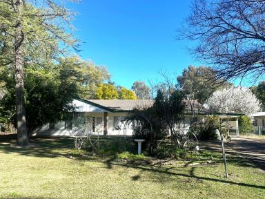 House For Sale - NSW - Moree - 2400 - FAMILY LIVING IN LEAFY GREENBAH (Image 2)