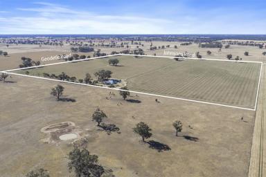 Other (Rural) For Sale - VIC - Miepoll - 3666 - 113 Acres with Large-Scale Accommodation and Income Potential  (Image 2)