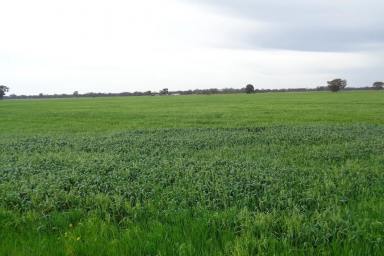 Other (Rural) For Sale - VIC - Miepoll - 3666 - 113 Acres with Large-Scale Accommodation and Income Potential  (Image 2)