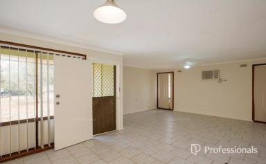 House For Lease - NSW - West Tamworth - 2340 - 26 Sue Crescent - West Tamworth  (Image 2)