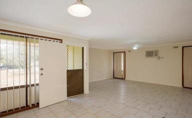 House For Lease - NSW - West Tamworth - 2340 - 26 Sue  (Image 2)
