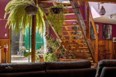 House For Sale - TAS - Waratah - 7321 - Secluded Tranquility: A Home in the Heart of Tasmania's Tarkine Wilderness  (Image 2)