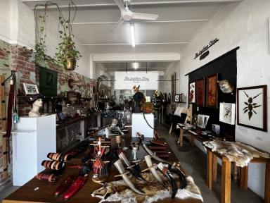 Other (Residential) For Sale - NSW - Kyogle - 2474 - Prime Main Street Commercial Opportunity in Kyogle  (Image 2)