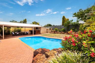 House For Sale - WA - Heathridge - 6027 - Family Home with Outdoor Oasis!  (Image 2)