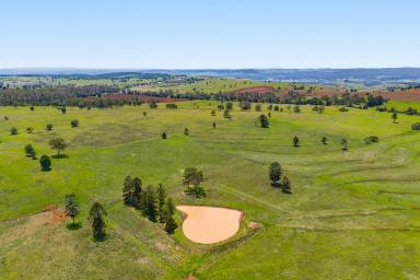Livestock For Sale - QLD - Upper Yarraman - 4614 - "The Cedars"  (Image 2)