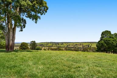 Livestock For Sale - QLD - Upper Yarraman - 4614 - "The Cedars"  (Image 2)