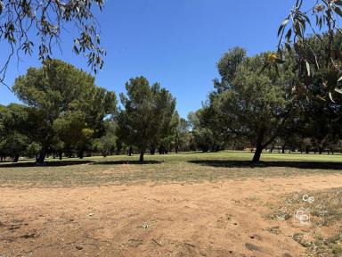 House For Lease - SA - Mannum - 5238 - Character Bungalow with Ample Shedding  (Image 2)