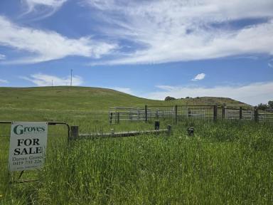 Lifestyle For Sale - VIC - Nareen - 3315 - Country cottage with mixed farming block  (Image 2)