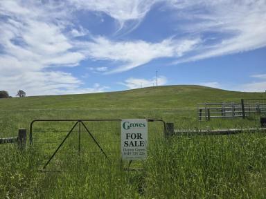 Lifestyle For Sale - VIC - Nareen - 3315 - Country cottage with mixed farming block  (Image 2)