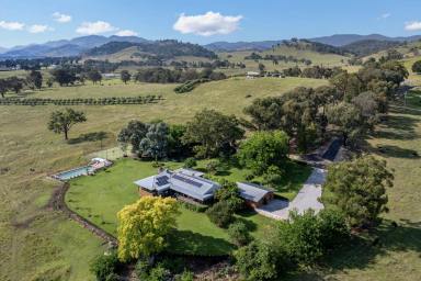 Lifestyle For Sale - NSW - Mudgee - 2850 - LUXURY RURAL LIVING BACKED BY A PROFITIABLE ACCOMMODATION VENTURE  (Image 2)