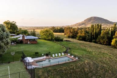 Lifestyle For Sale - NSW - Mudgee - 2850 - LUXURY RURAL LIVING BACKED BY A PROFITIABLE ACCOMMODATION VENTURE  (Image 2)