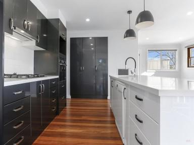 House For Sale - NSW - Bowral - 2576 - Modern Retreat in Bowral  (Image 2)