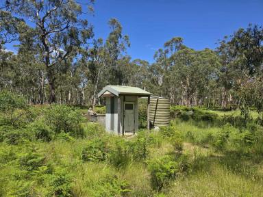 Lifestyle For Sale - VIC - Byaduk - 3301 - Bush escape  (Image 2)