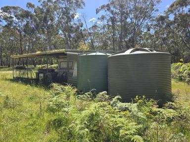 Lifestyle For Sale - VIC - Byaduk - 3301 - Bush escape  (Image 2)