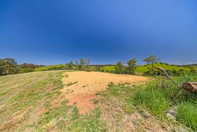 Residential Block For Sale - QLD - Kandanga Creek - 4570 - Country Living Within Reach of Noosa - 8.62 Acres of Land  (Image 2)