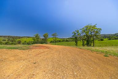 Residential Block For Sale - QLD - Kandanga Creek - 4570 - Country Living Within Reach of Noosa - 8.62 Acres of Land  (Image 2)