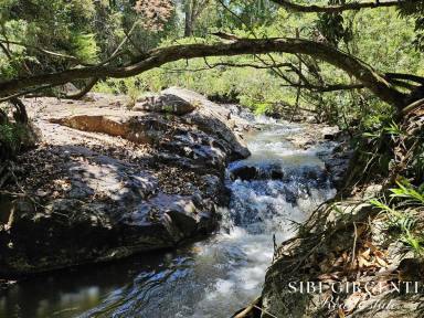 Lifestyle For Sale - QLD - Upper Barron - 4883 - UNRIVALLED ACERAGE WITH UNIQUE RIVER FRONTAGE  (Image 2)