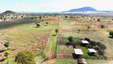 Livestock For Sale - QLD - Castle Creek - 4715 - A highly productive cattle breeding & backgrounding operation, with a registered carbon sequestration project (Image 2)
