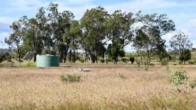 Livestock For Sale - QLD - Castle Creek - 4715 - A highly productive cattle breeding & backgrounding operation, with a registered carbon sequestration project (Image 2)