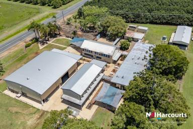 Land/Development For Sale - QLD - Welcome Creek - 4670 - LOCATION, INFRASTRUCTURE, LAND, POTENTIAL  (Image 2)