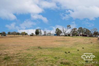 Residential Block Sold - NSW - Deepwater - 2371 - Opportunity Awaits, 2,023 m² Block in Deepwater, NSW  (Image 2)