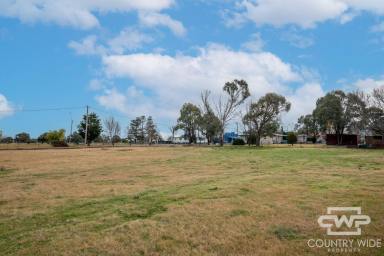 Residential Block Sold - NSW - Deepwater - 2371 - Opportunity Awaits, 2,023 m² Block in Deepwater, NSW  (Image 2)